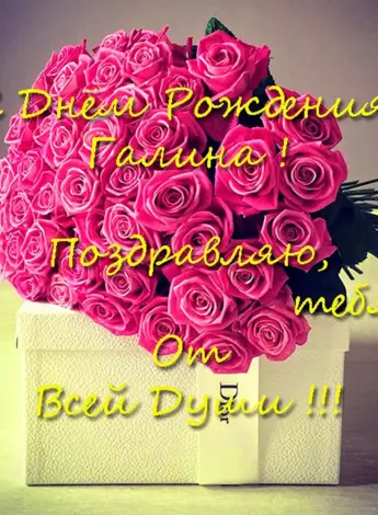 С днём рождения Галина