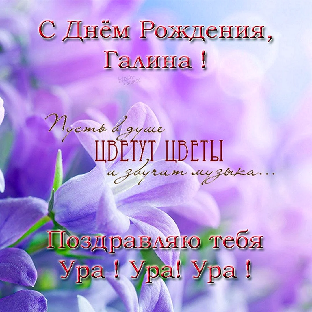 С днём рождения Галина
