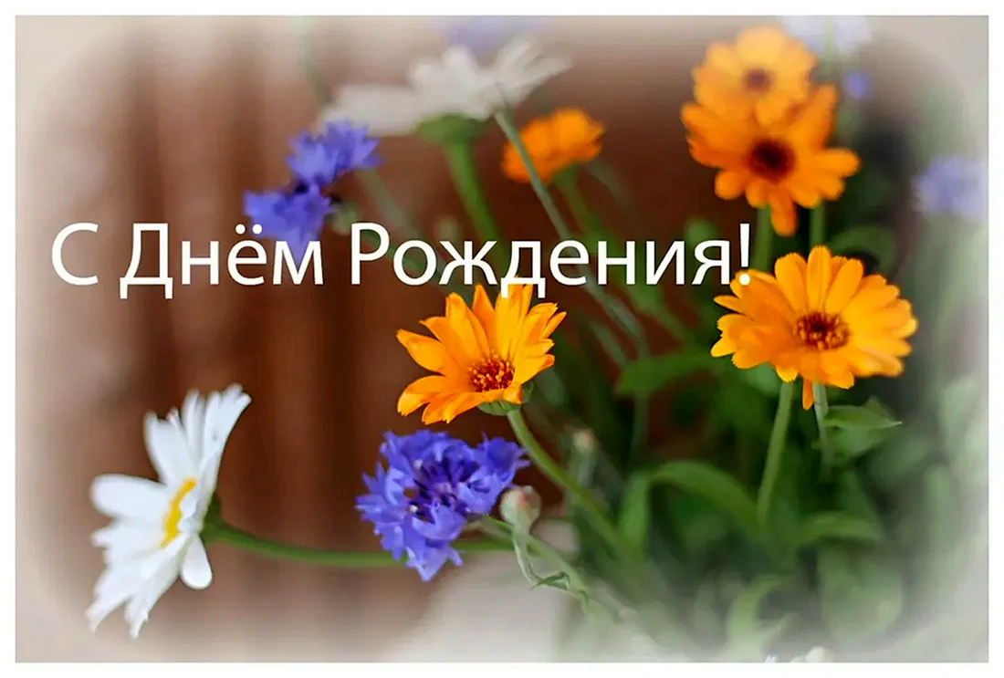 С днём рождения галочка