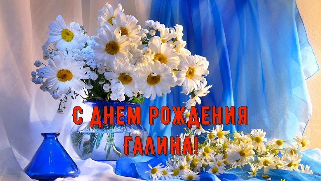 С днём рождения галочка