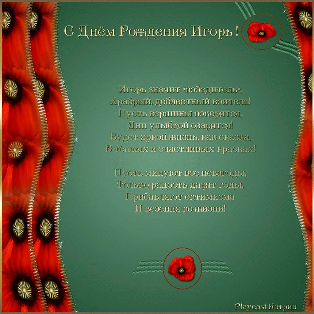 С днём рождения Игорь