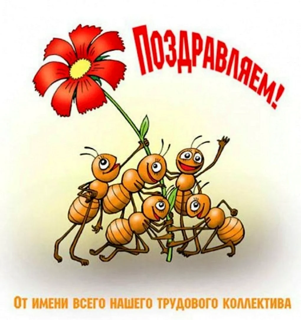 С днем рождения коллеге