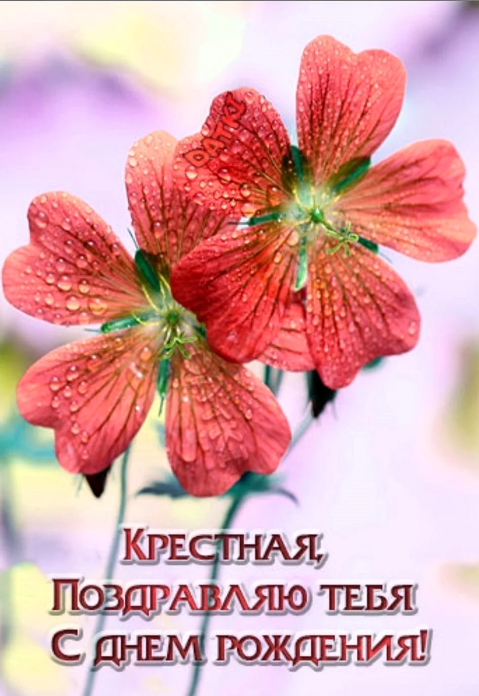 С днём рождения крёстной