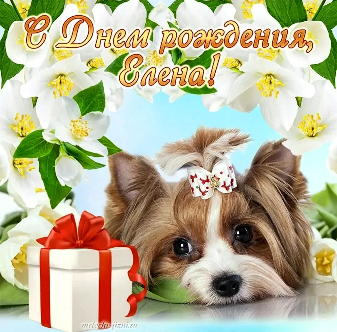 С днём рождения Леночка