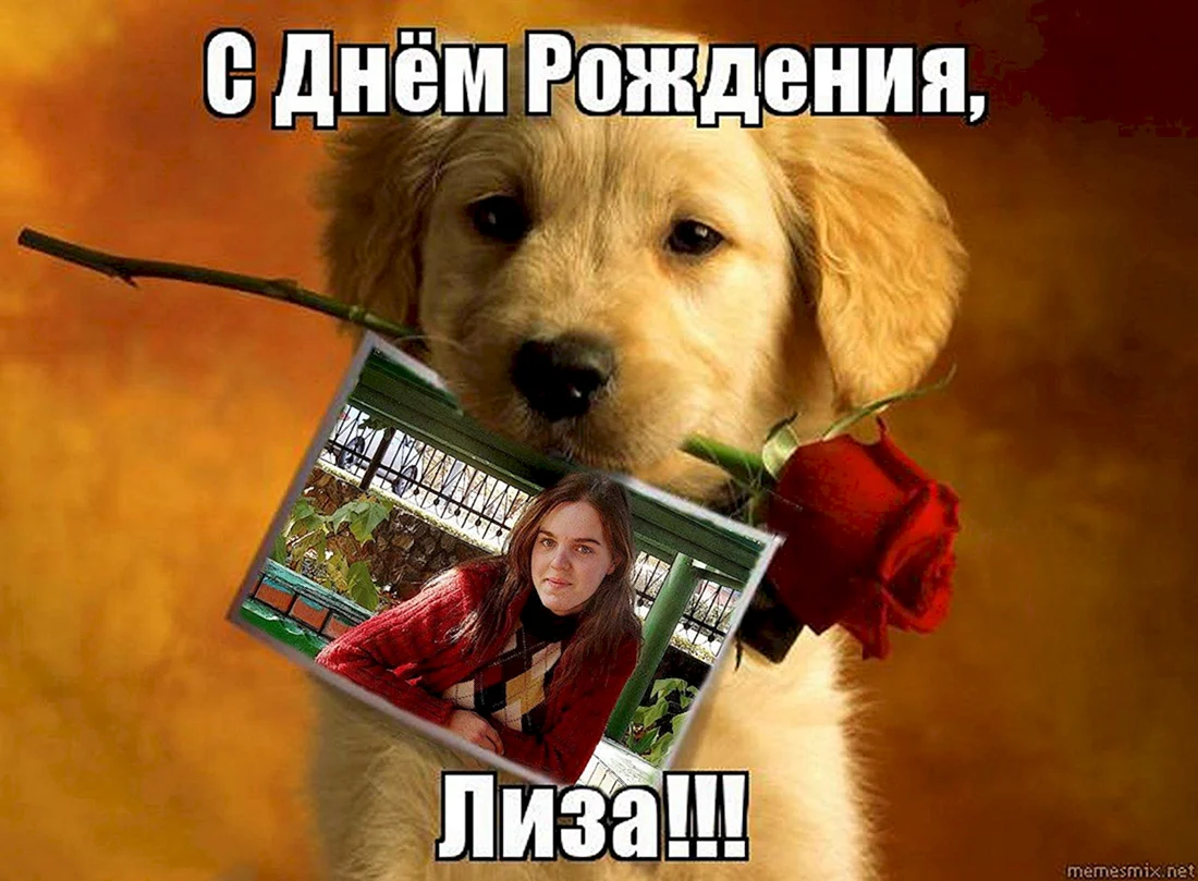 С днём рождения Лиза
