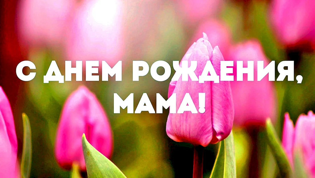 С днем рождения мама в прозе
