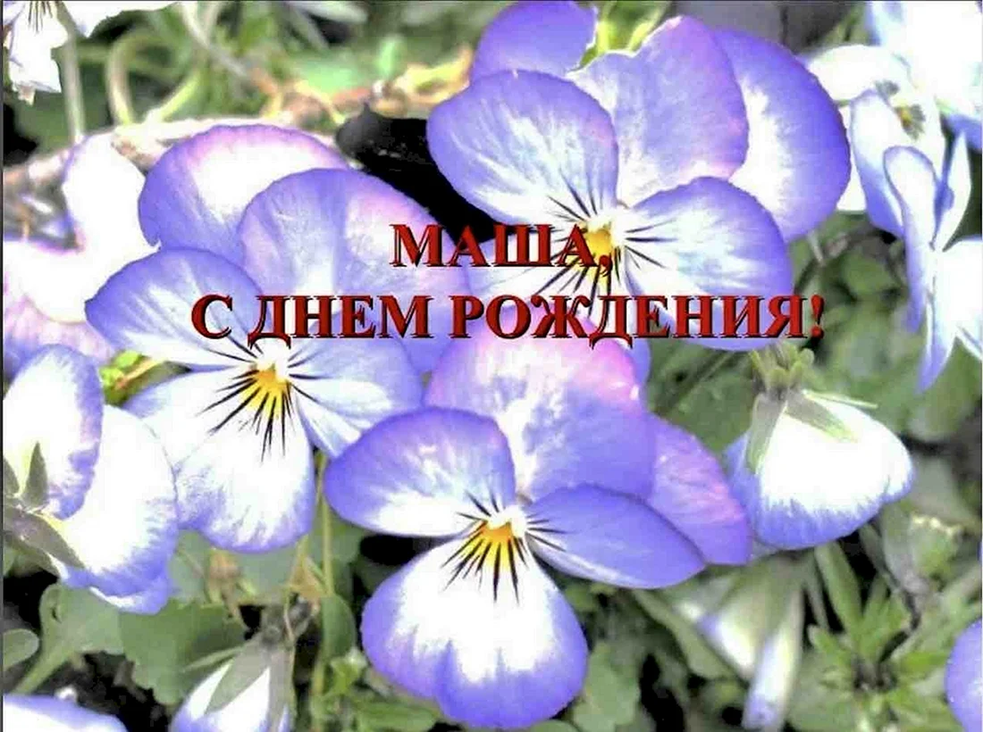 С днём рождения Машенька