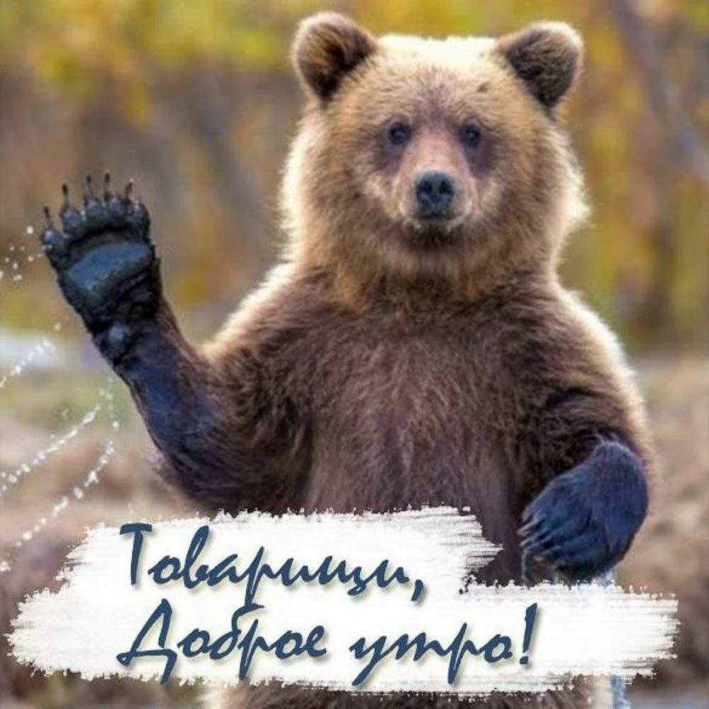 С днем рождения мишка