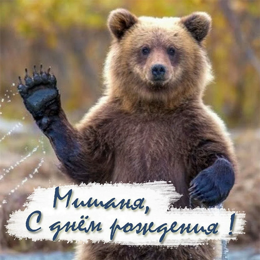 С днем рождения мишка