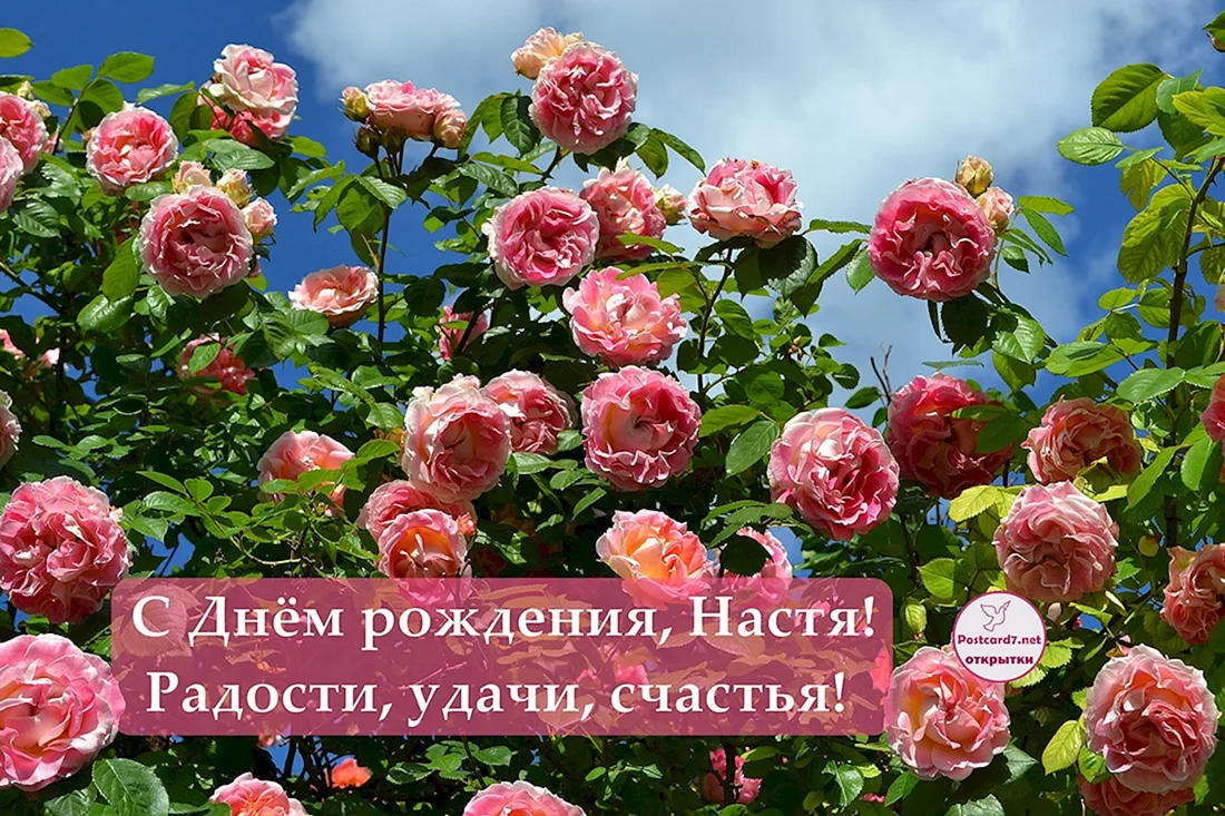 С днём рождения Настенька
