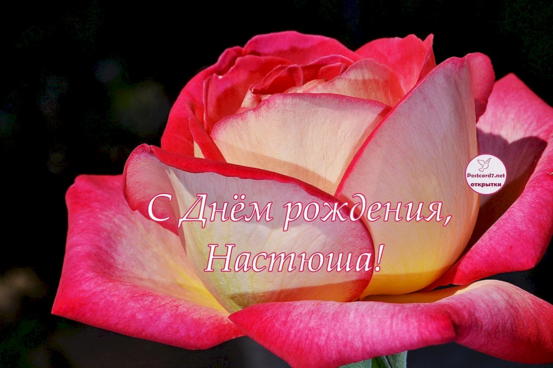 С днём рождения Настюша