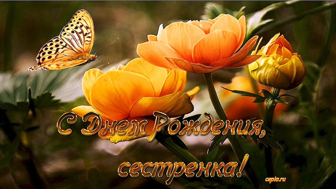 С днём рождения Олеся открытки