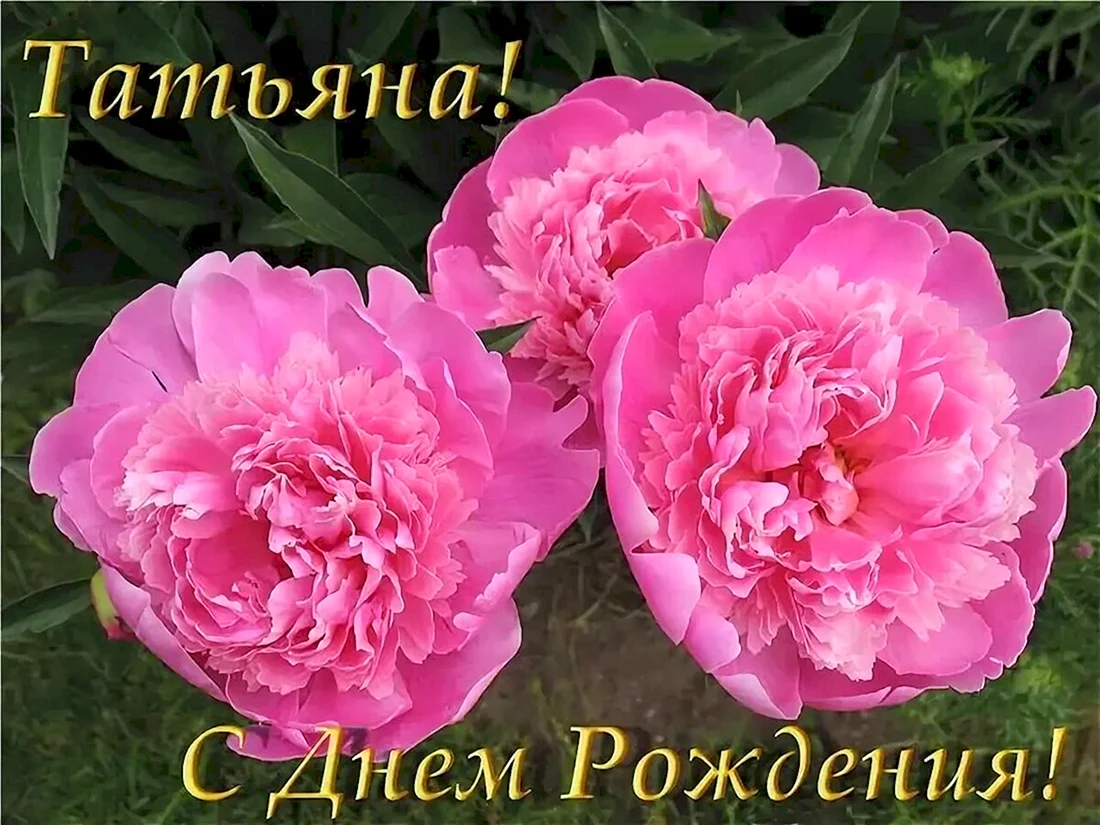 С днём рождения пионы