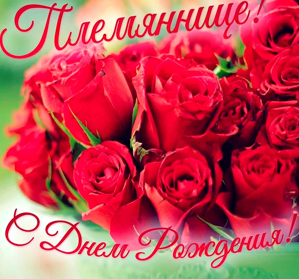 С днём рождения племяшка