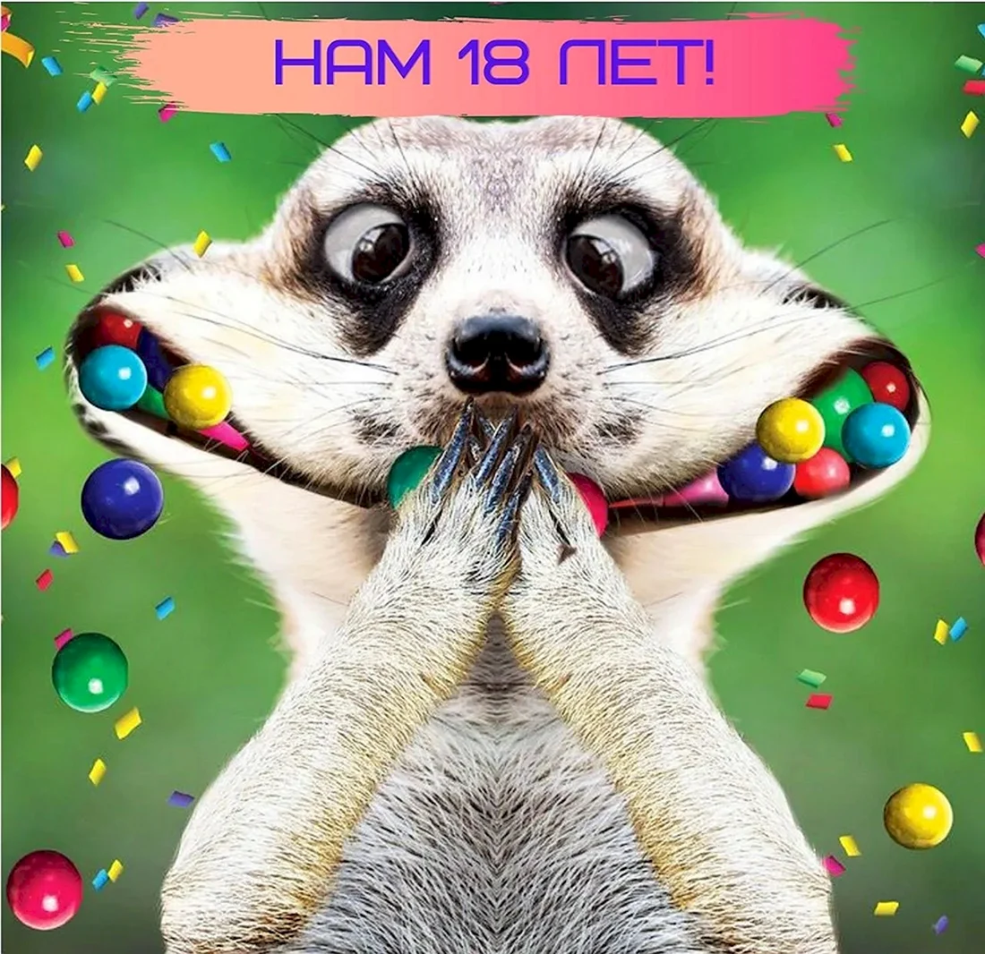 С днем рождения прикольные