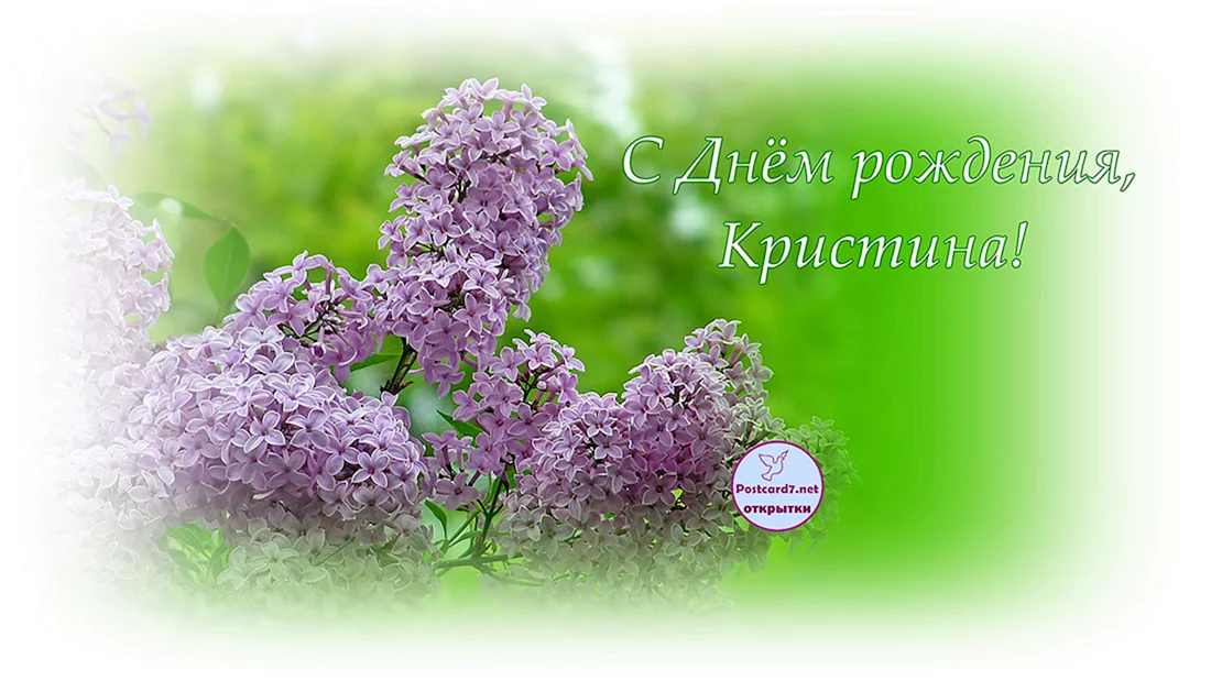 С днём рождения сирень