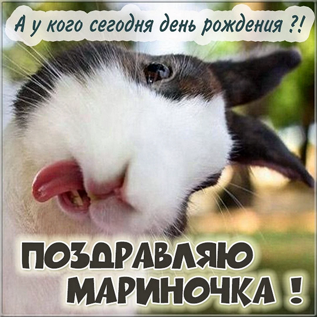 С днём рождения смешные