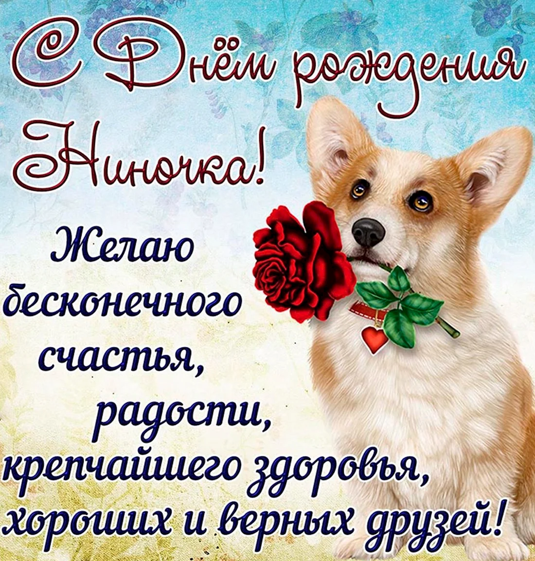 С днём рождения собачки
