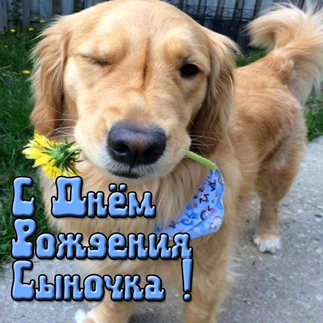 С днем рождения сыночек
