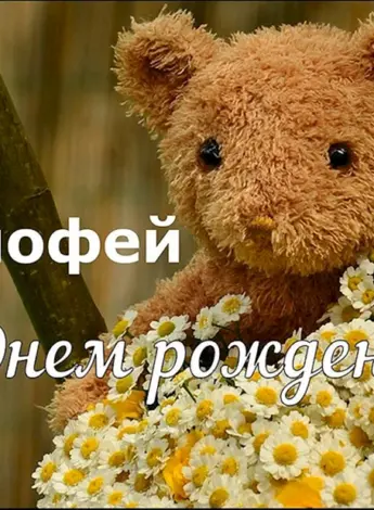 С днём рождения Тимоша