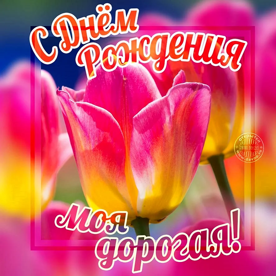 С днём рождения тюльпаны