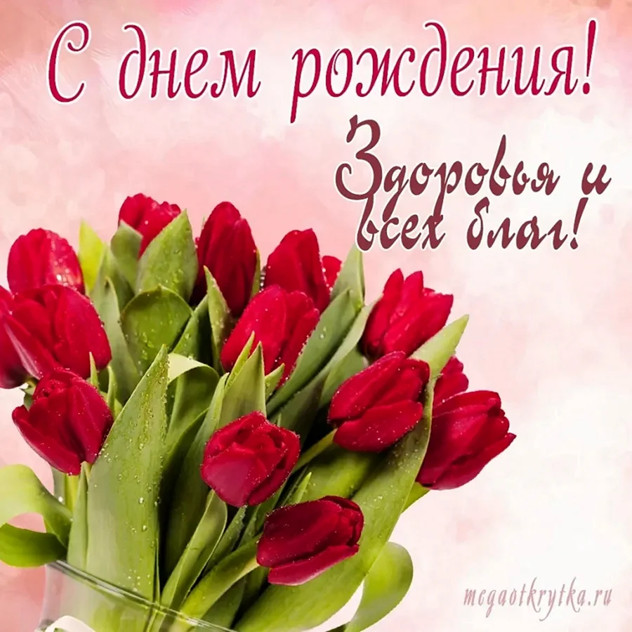 С днём рождения тюльпаны