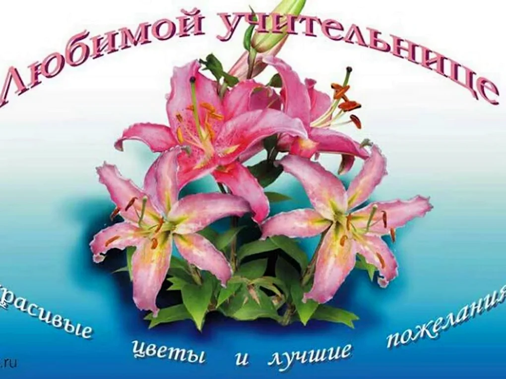 С днём рождения учительнице