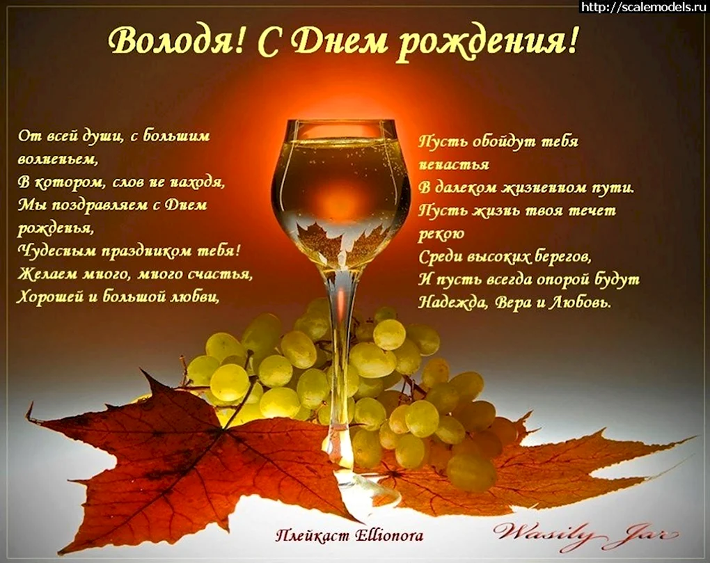 С днём рождения Володя