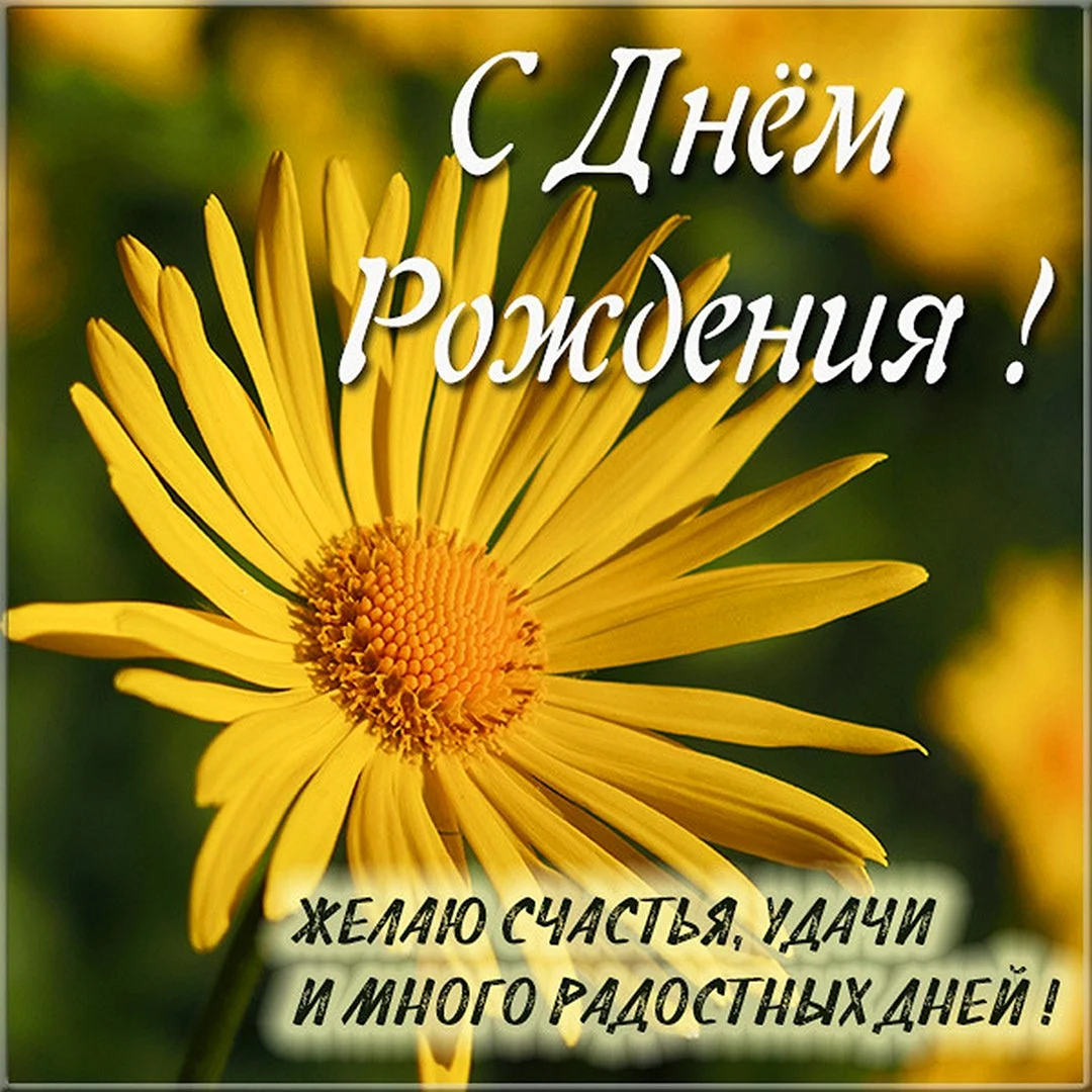С днем рождения заловк
