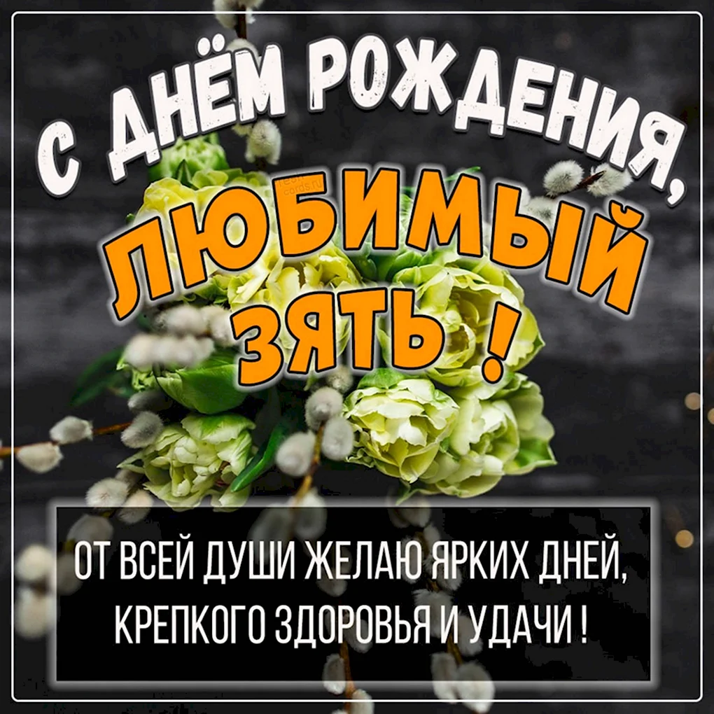 С днём рождения зять