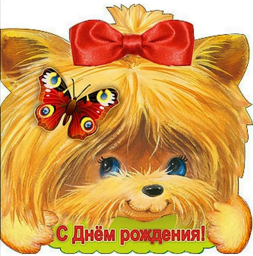 С днем рожденмяплемянница