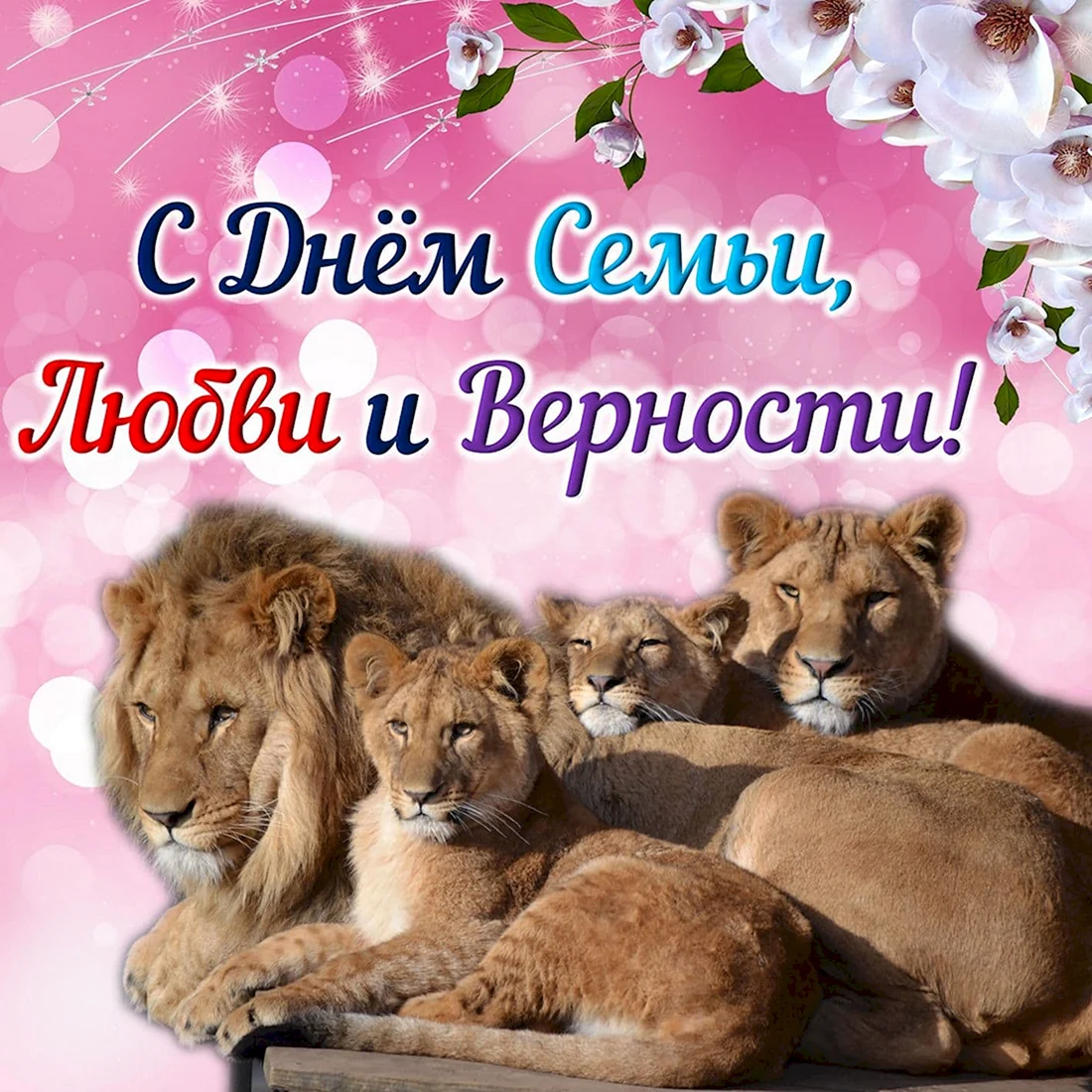 С днем семьи