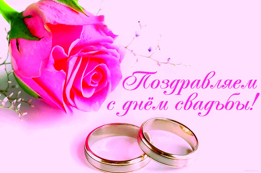 С днём свадьбы поздравления