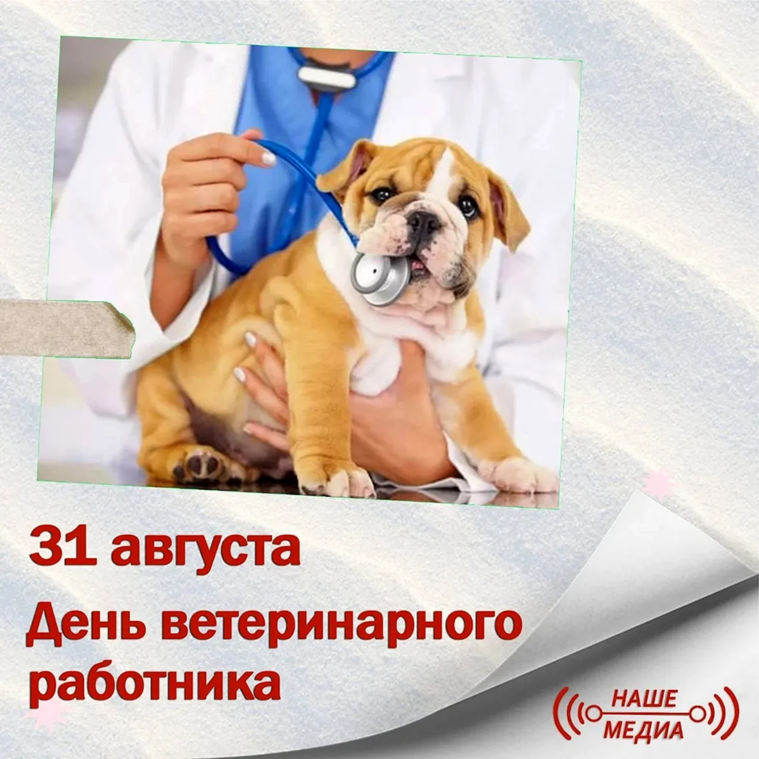 С днем ветеринарного работника
