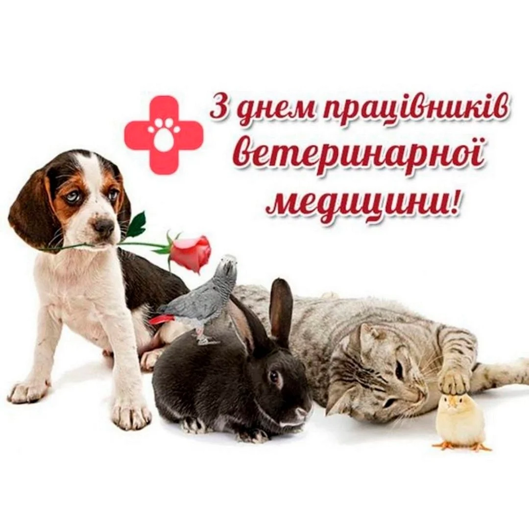 С днем ветеринарного работника