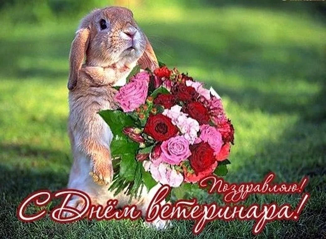 С днем ветеринарного врача
