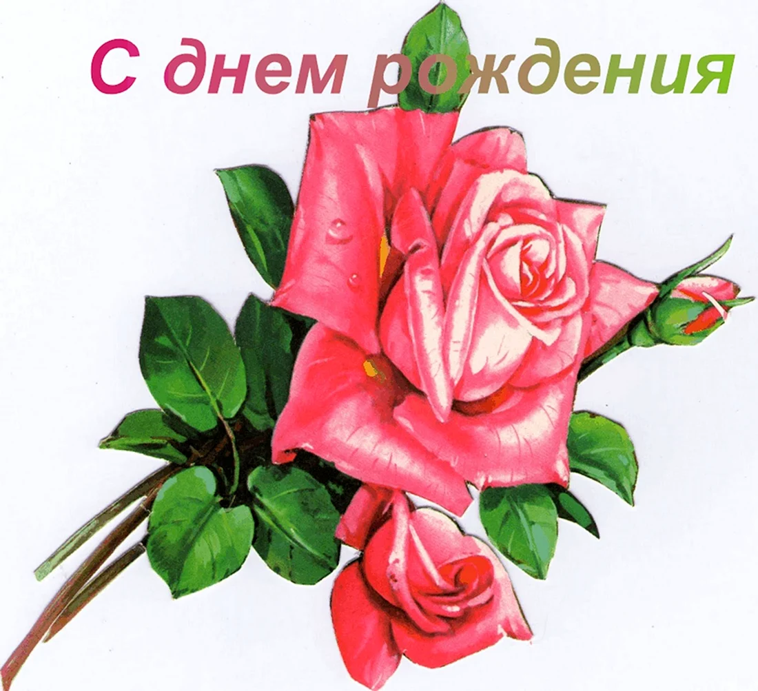 С днёмрожденияальбина