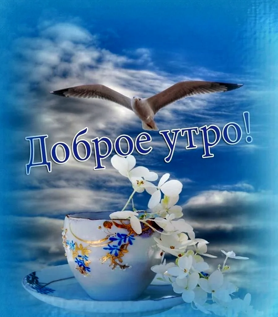 С добрым утром