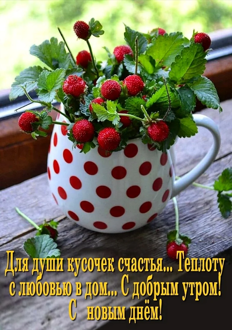 С добрым утром