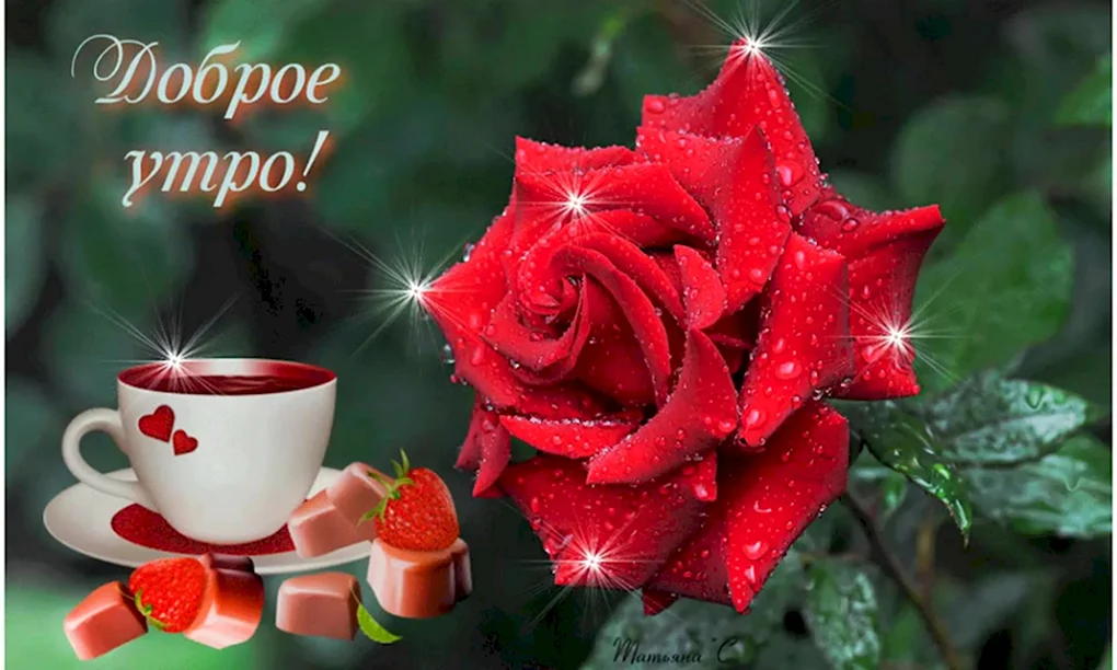 С добрым утром розы