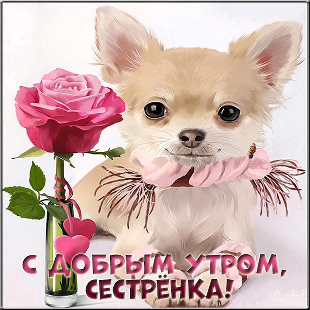 С добрым утром сестренка