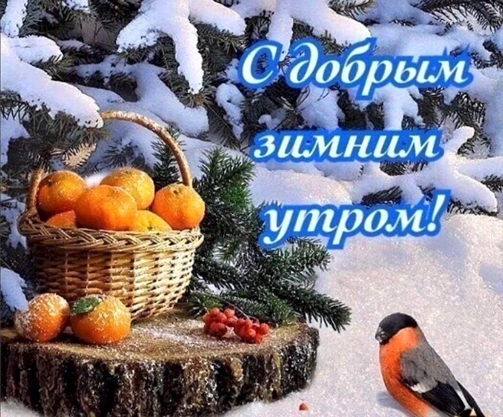 С добрым зимним утром
