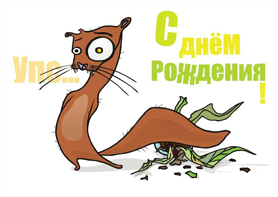С прошедшая днем рождения