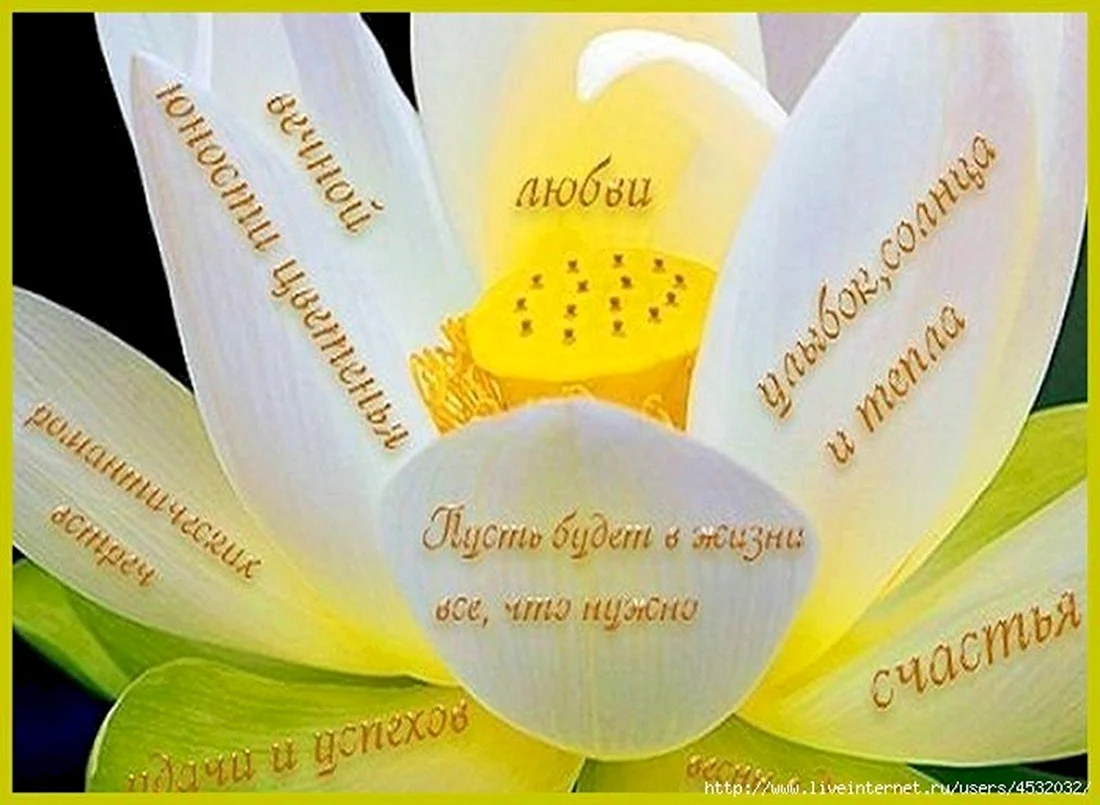 Счастья радости здоровья
