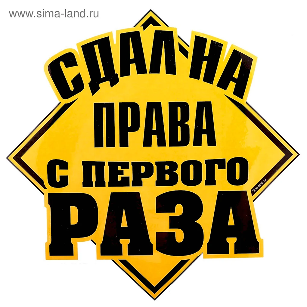 Сдал на права поздравление