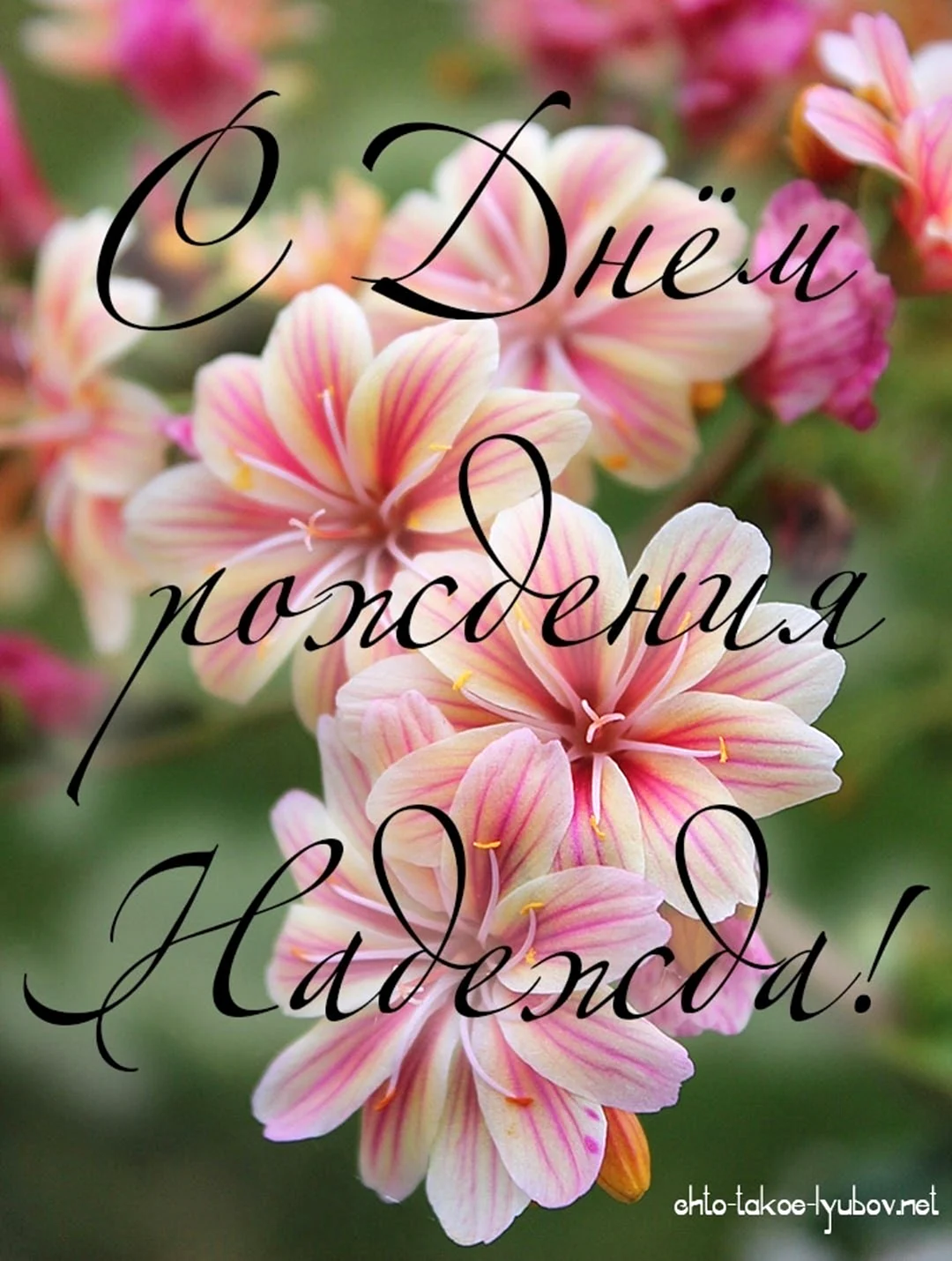 Сднём рождения Надежда