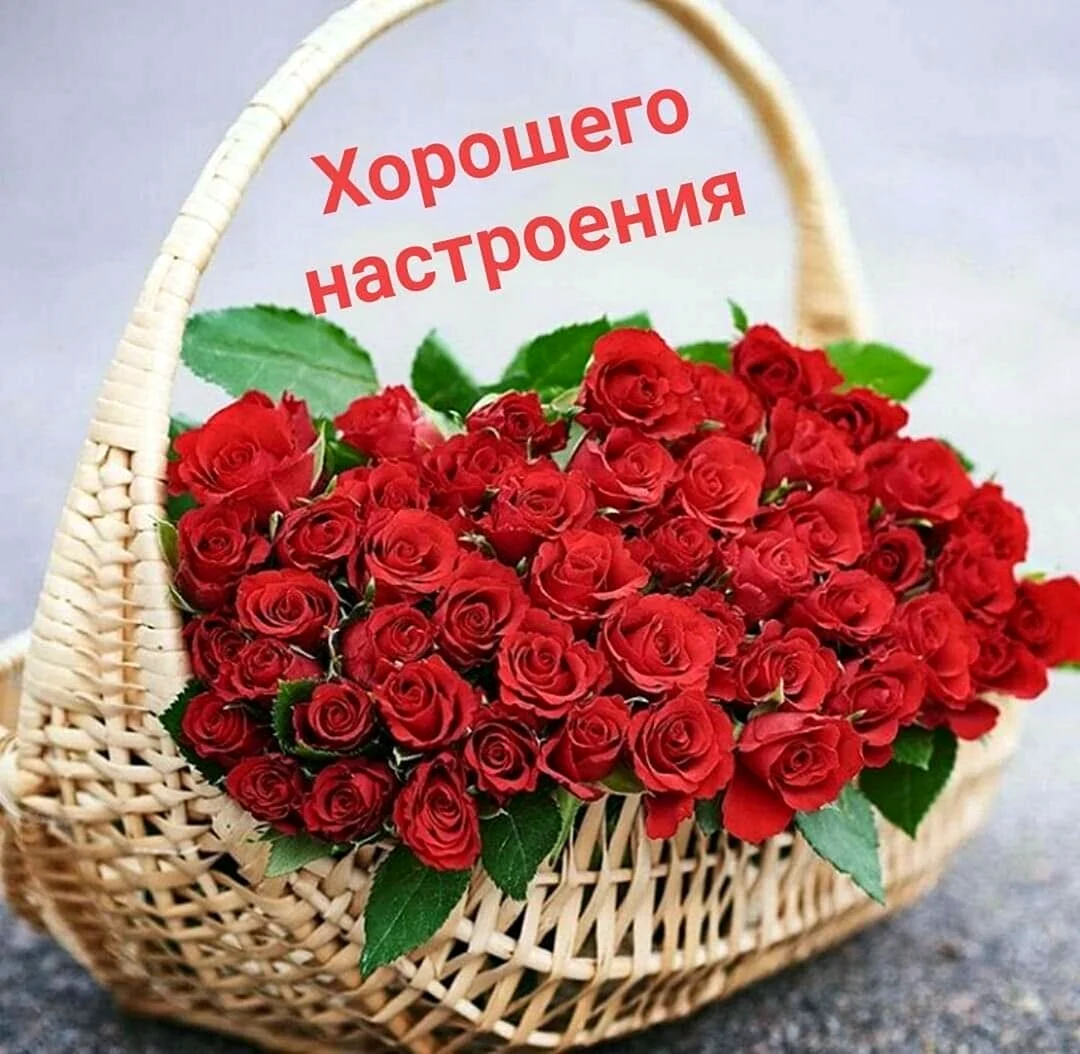 Шикарная корзина цветов