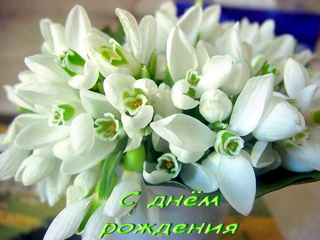Шикарный букет подснежников