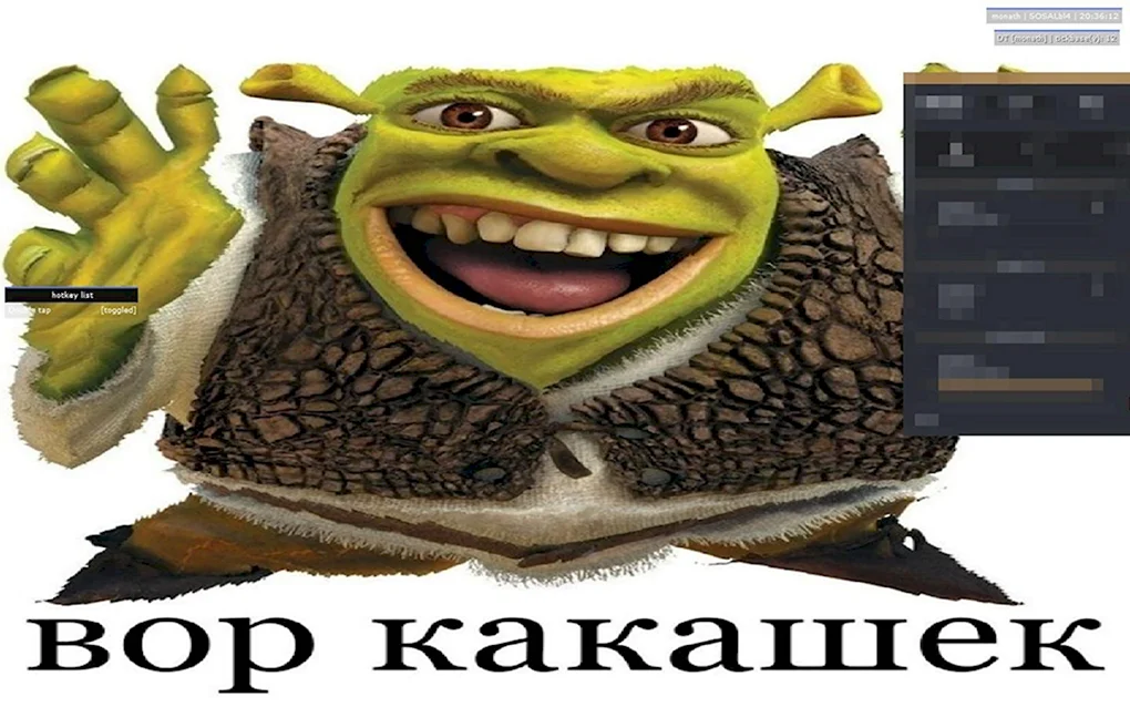 Шрек вор какашек
