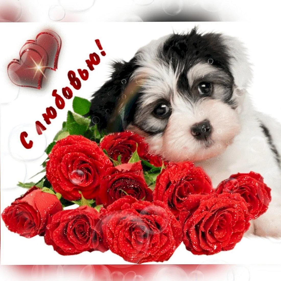Собачка с букетом